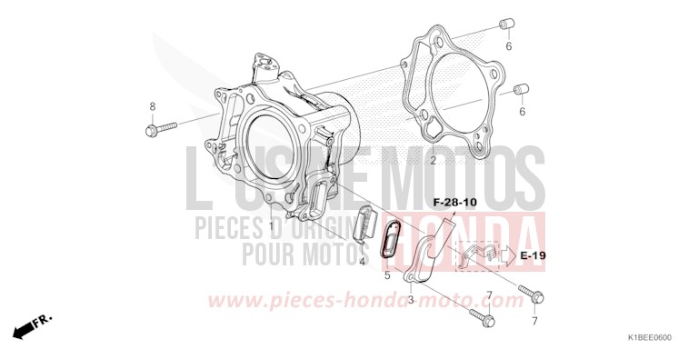 CYLINDER/REED VALVE for Forza 350 MAT ROBUST GRAY METALLIC (NHC74) from 2023